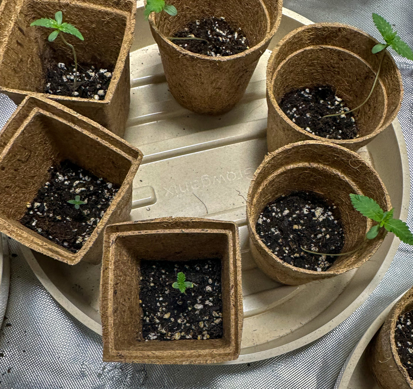 Coco Coir Pot for Seeds & Clones- Square Design