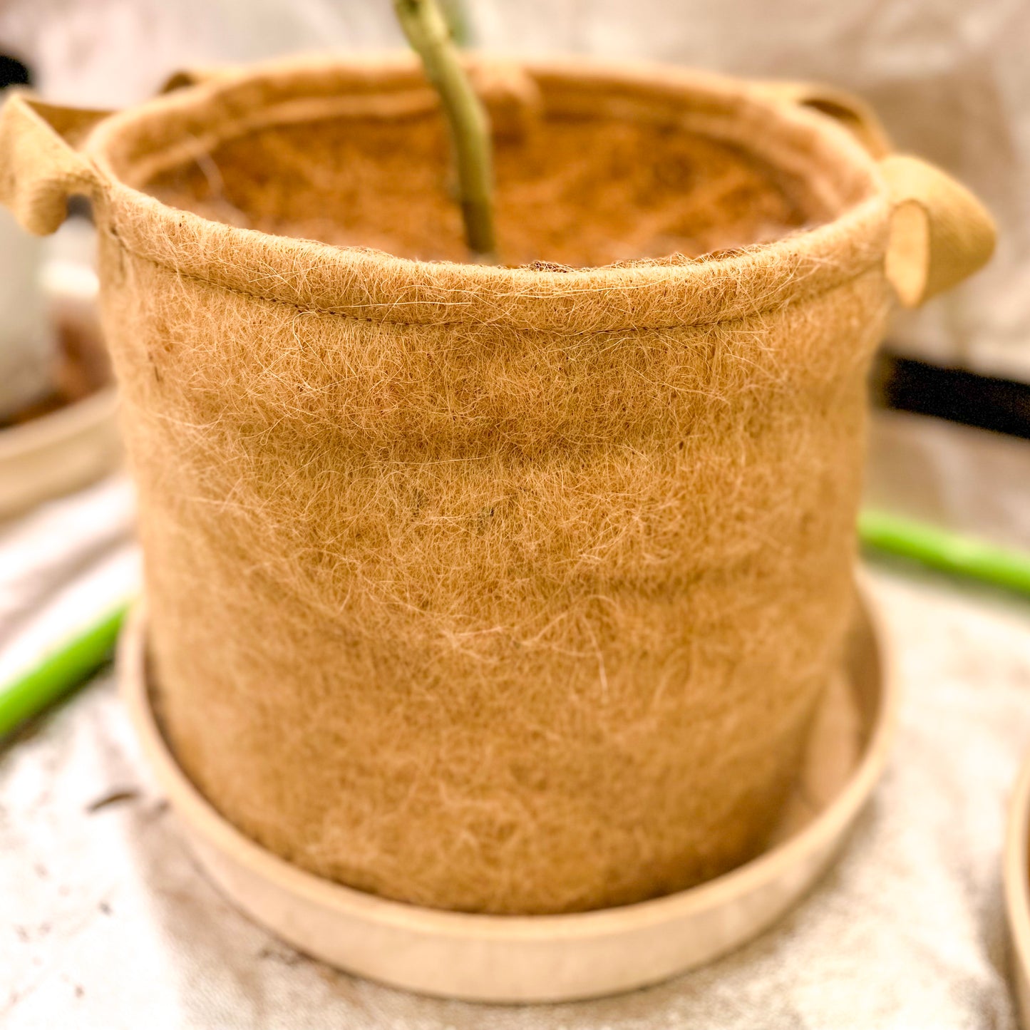 Jute Non-Woven Pot - 3 Gallon