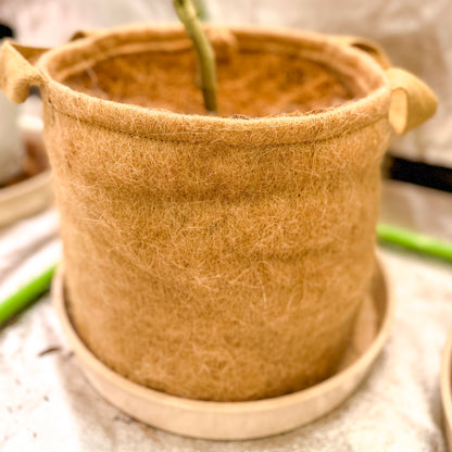 Jute Non-Woven Pot - 3 Gallon