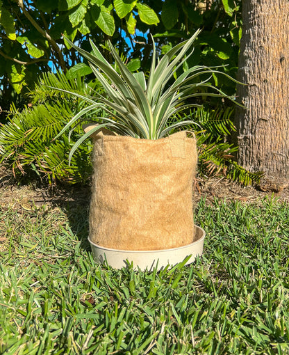 Jute Non-Woven Pot - 3 Gallon