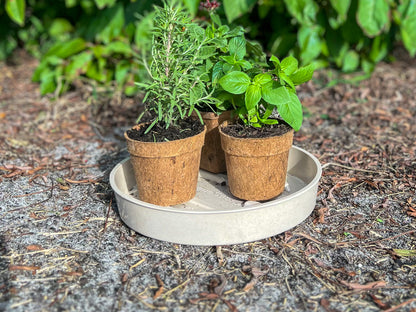 10" Bamboo Fiber Plant Saucer