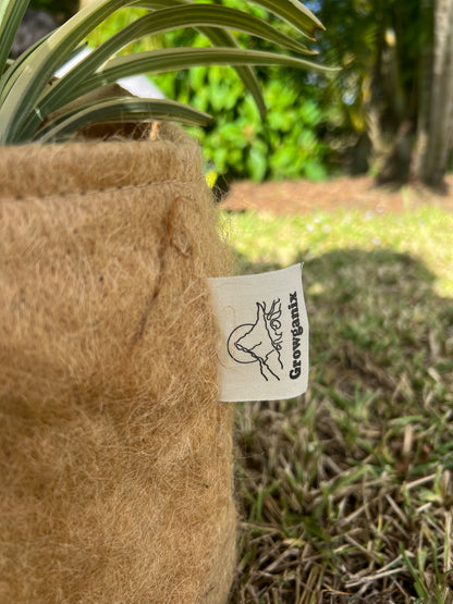 Jute Non-Woven Pot - 3 Gallon